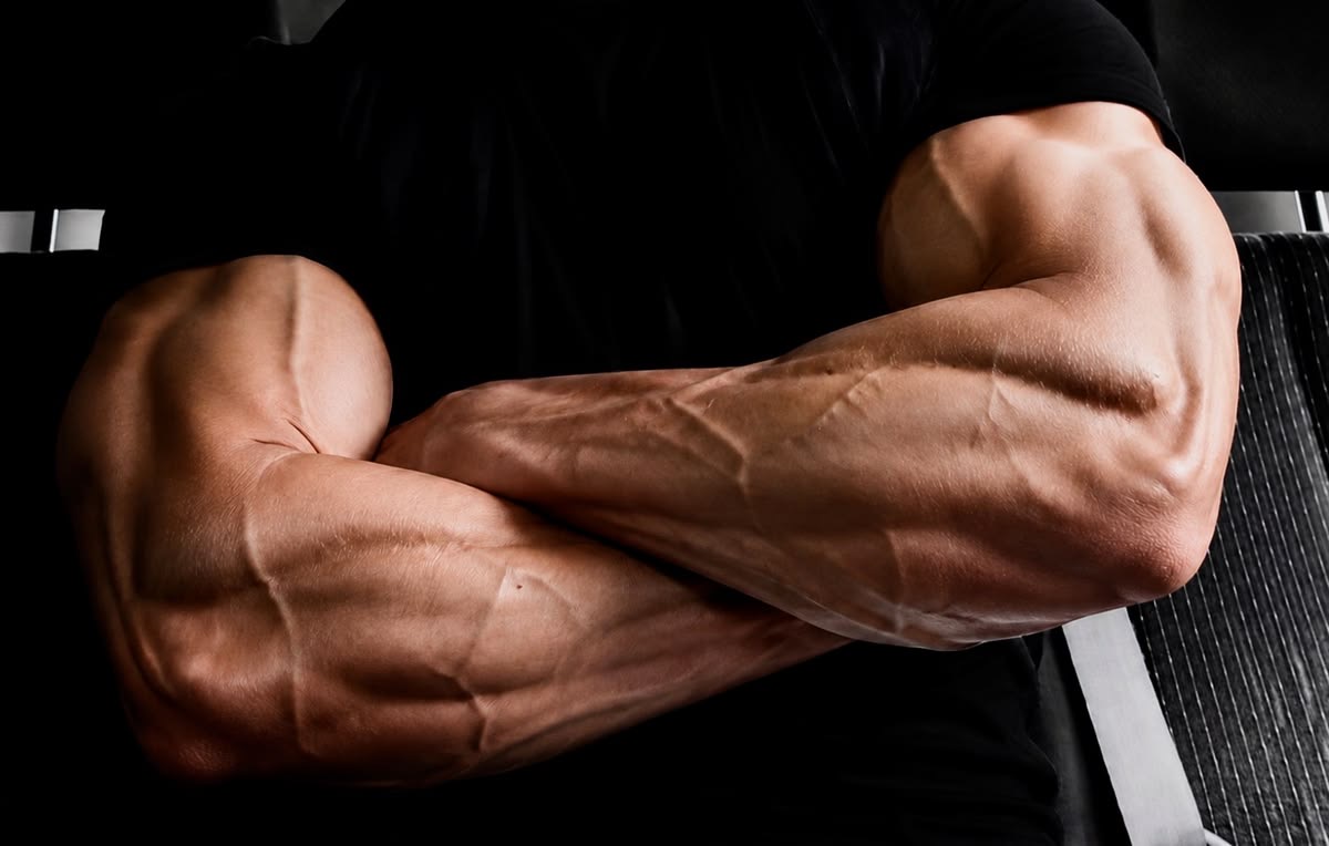 Close-up of crossed muscular forearms
