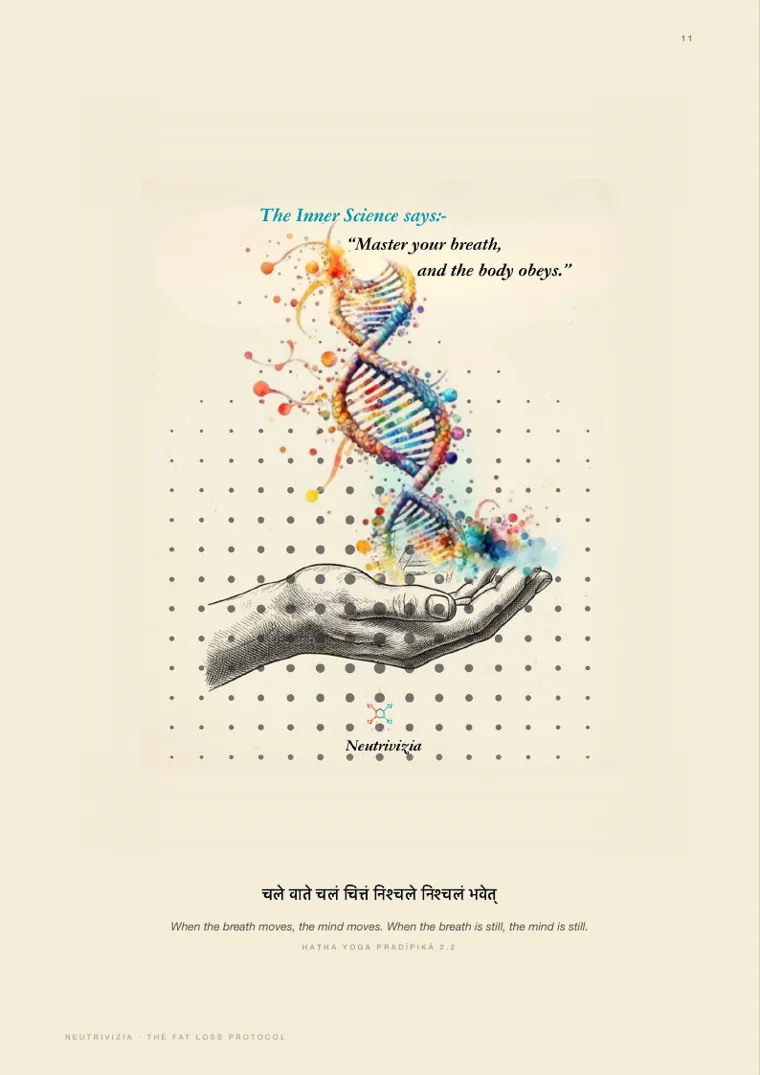FAT LOSS FORMULA, page 11: Haṭha Yoga Pradīpikā 2.2