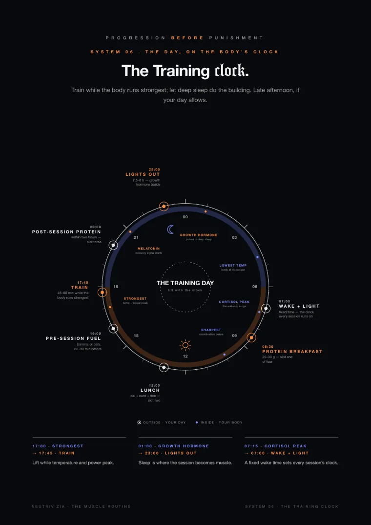 THE MUSCLE ROUTINE, page 19: The Training clock.